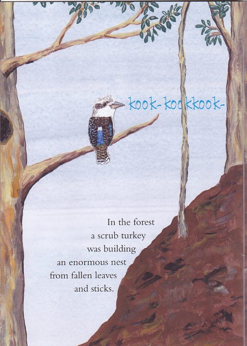 Australian kookaburra kids book bird Who is Laughing?