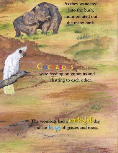 Wombat Kid's Story Book
